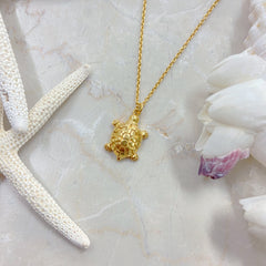 Euro Gold Turtle Necklace | Melanie Woods