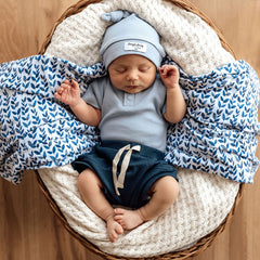 SNUGGLE HUNNY NAVY SHORTS